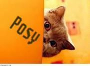 الملكه بوسي