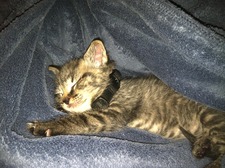 Eliza Jane
