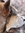 Tracey | 3 comments