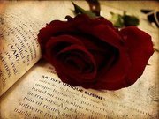 فاطمة المرزوقي