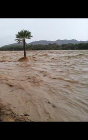 صالح الفارسي