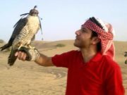 أسامة جرادات