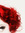 Julia | 21 comments