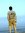Ankit C...