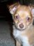 Delaney