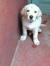 Kirti K...