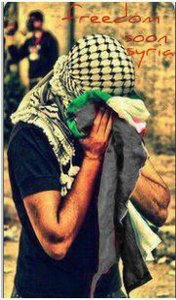 Mustafa Abou elnasr
