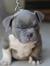 Jacko M...