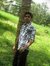 Shreesh...