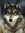 Aaron Allen  Strider (Wolfsabre) | 18 comments