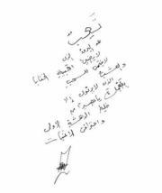 علي خيري سلو