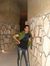 Ehsan N...