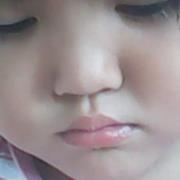 Violet Purple lavander