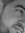 Craig P...