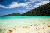 พรกมล วิมลธรรม