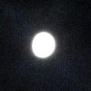 Liz Feeback thompson