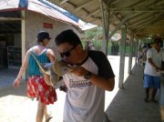 Dedy Wijaya