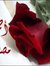 Ahmed M...