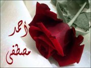Ahmed Mostafa
