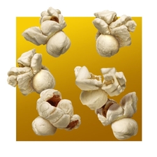 Ml