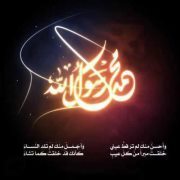Ahmed Omran