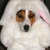 Steve Iams