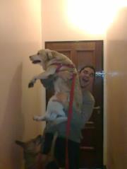 Agustin Llabres