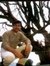 'ankit ...