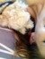 Hollie