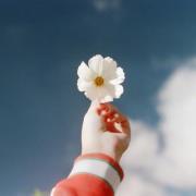 خلود محمد سليمان