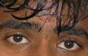 Amrendra Pratap
