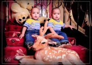 أبو التيمان