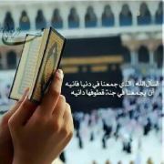 Ali Yehiaa