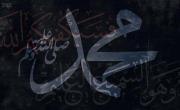 Fady Ahmed mohamed
