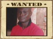 Yinami David