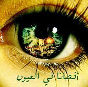 ثائر أحمد