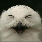 Eileen Lawrence-ellis