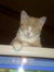 Katey D...