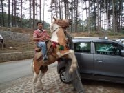 Sudarshan Sharma