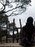 Suci Fi...