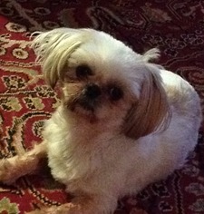 Cheryl
