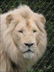 Entreprenuers Enclave