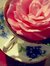 Asmaa M...