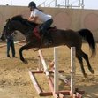 Ana