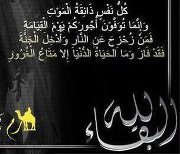 Eng-ahmed Morgn