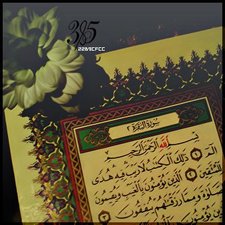 عَابرة سَبيل