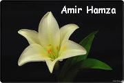 Amir Hamza