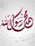 Habib B...