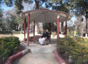 Malik Waleed