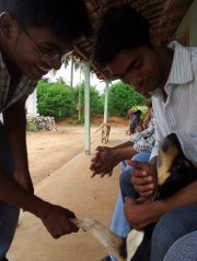 Ajeeth Kannan